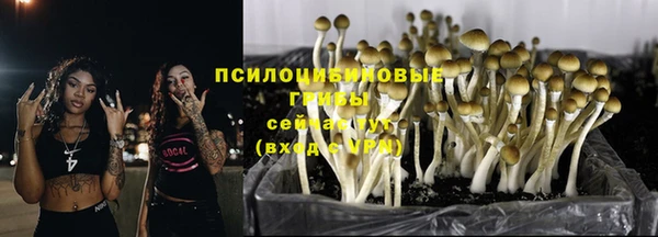 MESCALINE Аркадак