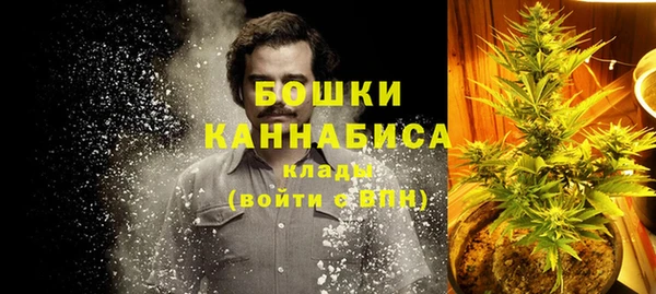 MESCALINE Аркадак