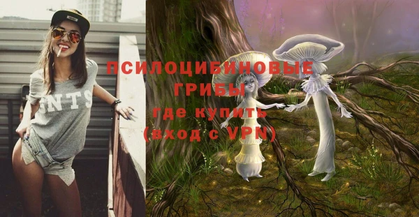 молекула духа Семилуки