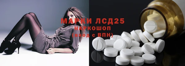 PSILOCYBIN Баксан