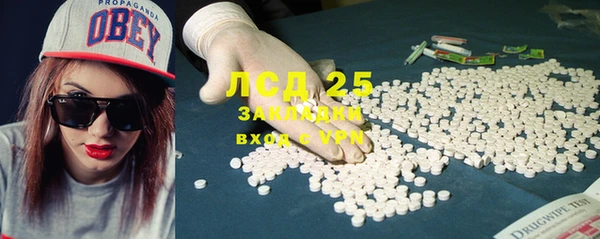 PSILOCYBIN Баксан