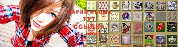 индика Сафоново