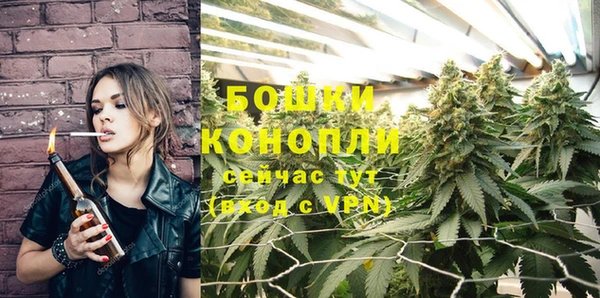 MESCALINE Аркадак